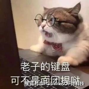 百科